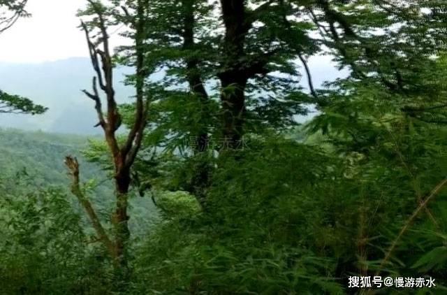 孙继海：我要培养五大联赛为国争光的球员，孩子不用花1分钱！