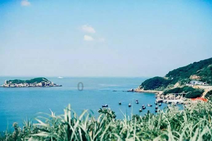 格斗巅峰大作战