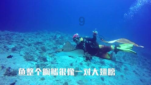 生化危机5