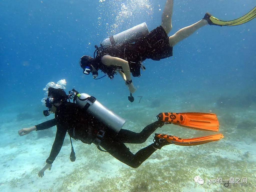海口观澜湖举办“烟花与烟火与共”2024 观澜湖业主春节联欢晚会节目评选活动