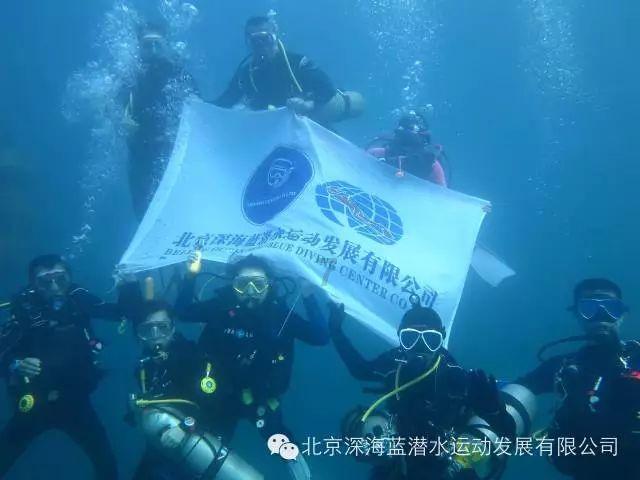 小狗救援行动选关版