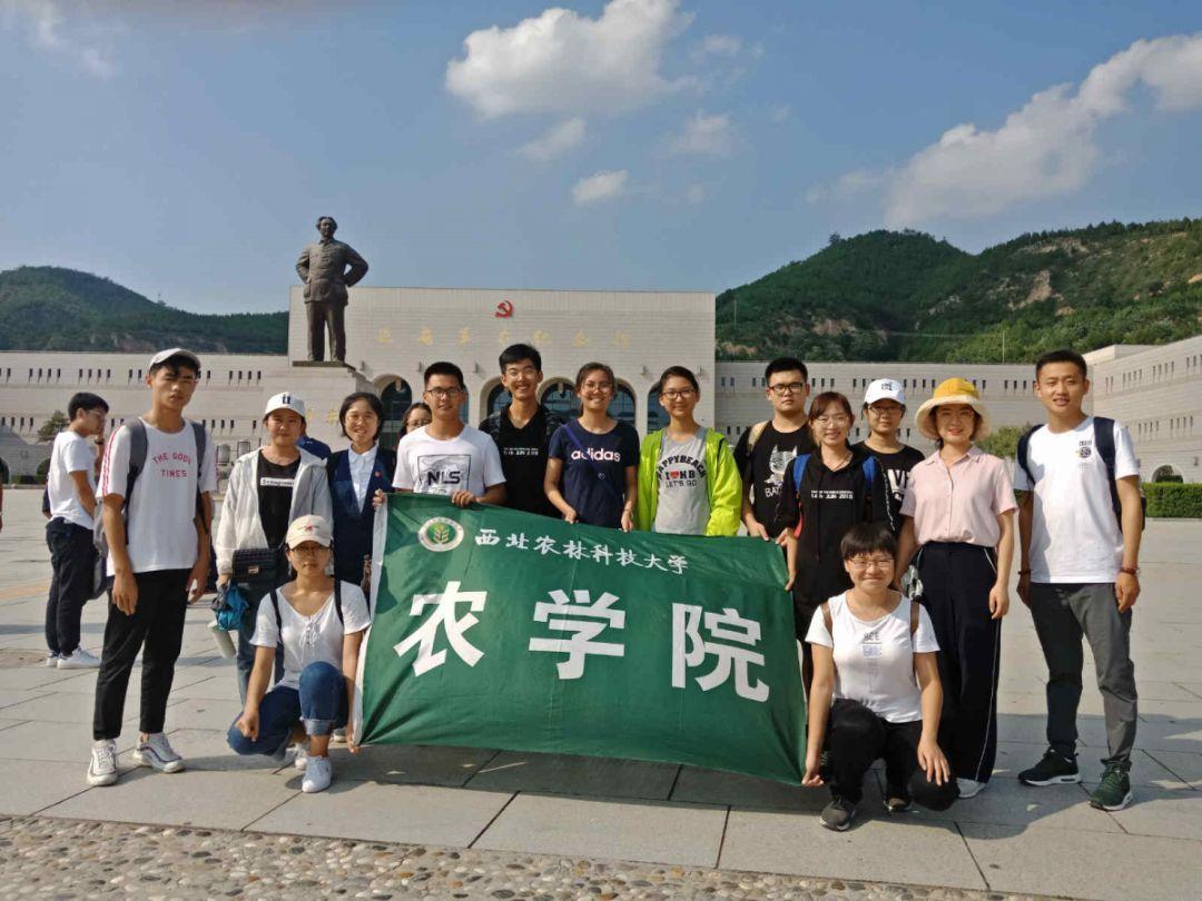 公主的大宫殿