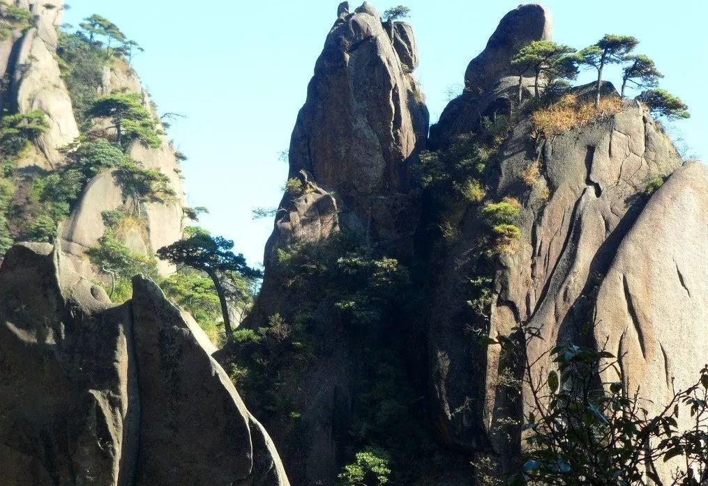 沪江开心词场