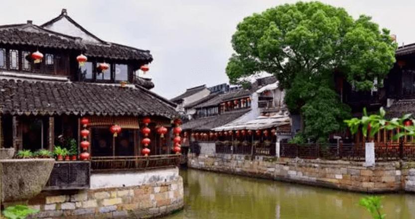 一图读懂 | 健康过大年 · 大鱼大肉哪个好？